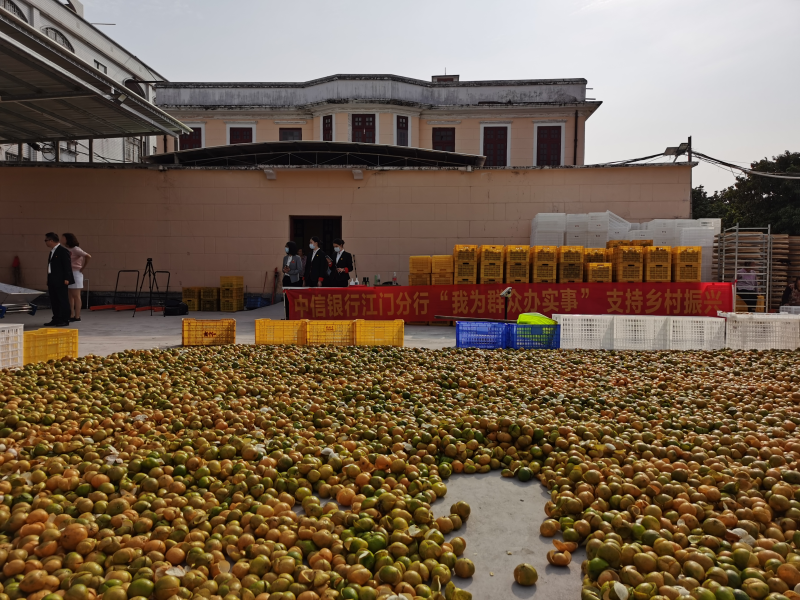 b1f8f7a81e3346ad8930e5919a2f4ad.png b1f8f7a81e3346ad8930e5919a2f4ad.png